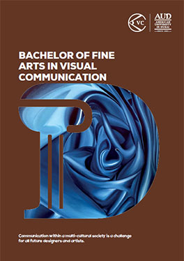 Bachelor of Fine Arts in Visual Communication brochure