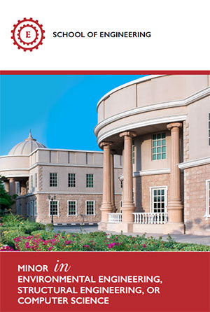 SOE Minor programs