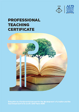 Professional Teaching Certificate e-brochure