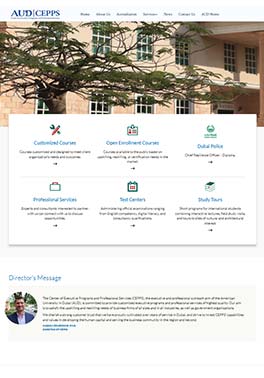 CEPPS website