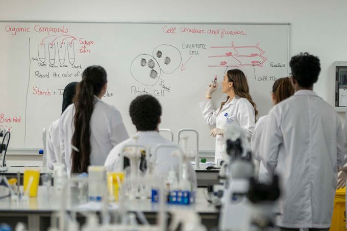 American University in Dubai Secures International Research Grant with Mayo Clinic to Advance Polycystic Kidney Disease Treatment